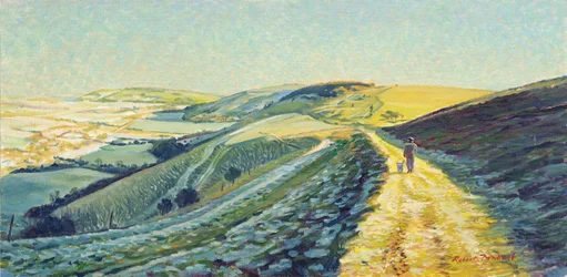 Winter Walk on the Downs
